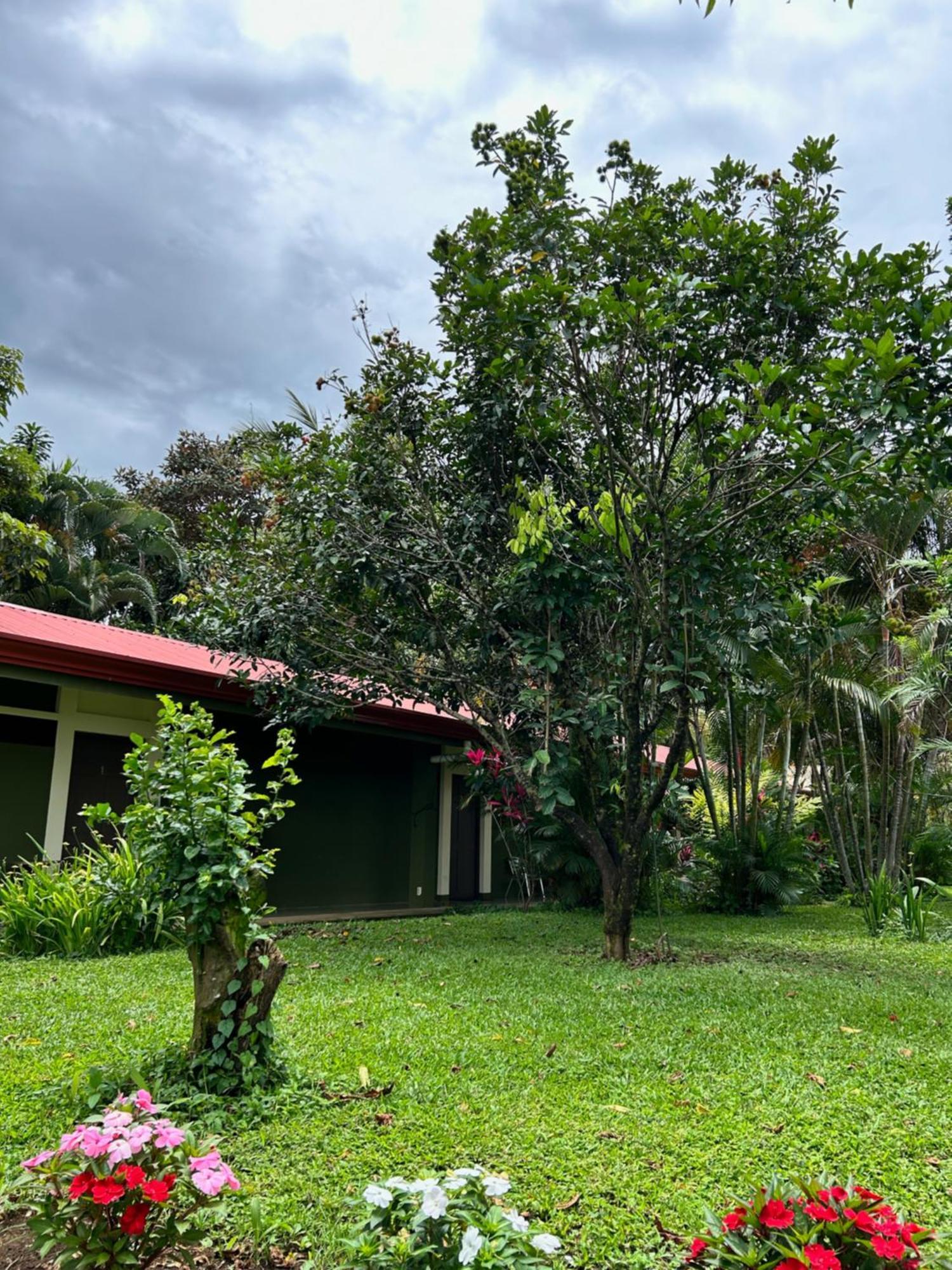 B&B Garden Grecia Exterior foto