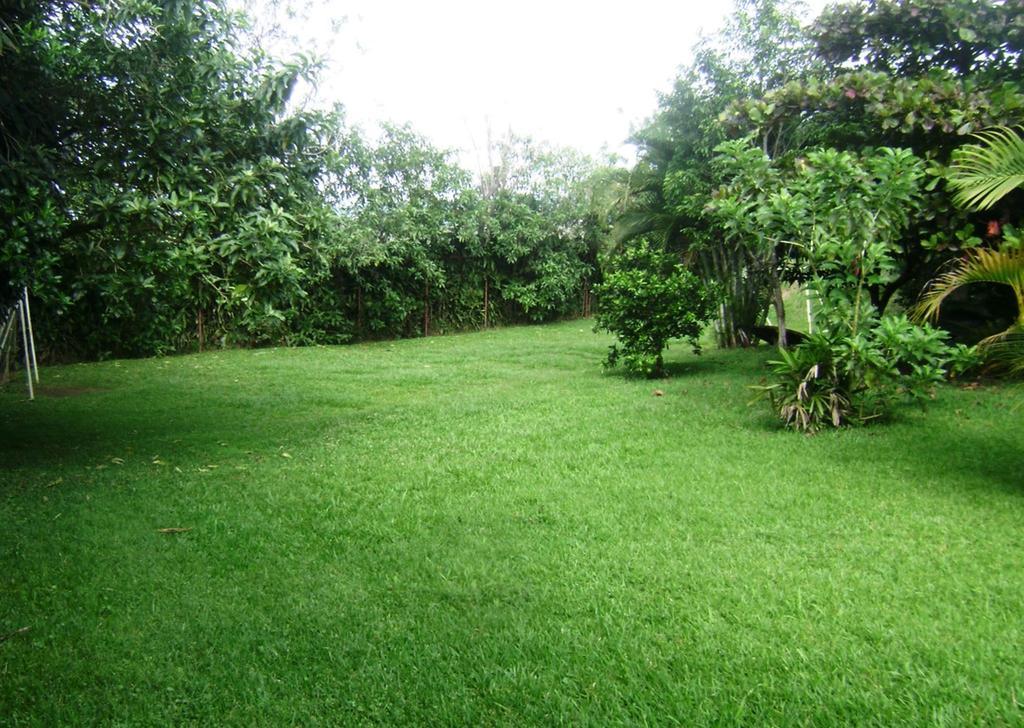 B&B Garden Grecia Cameră foto
