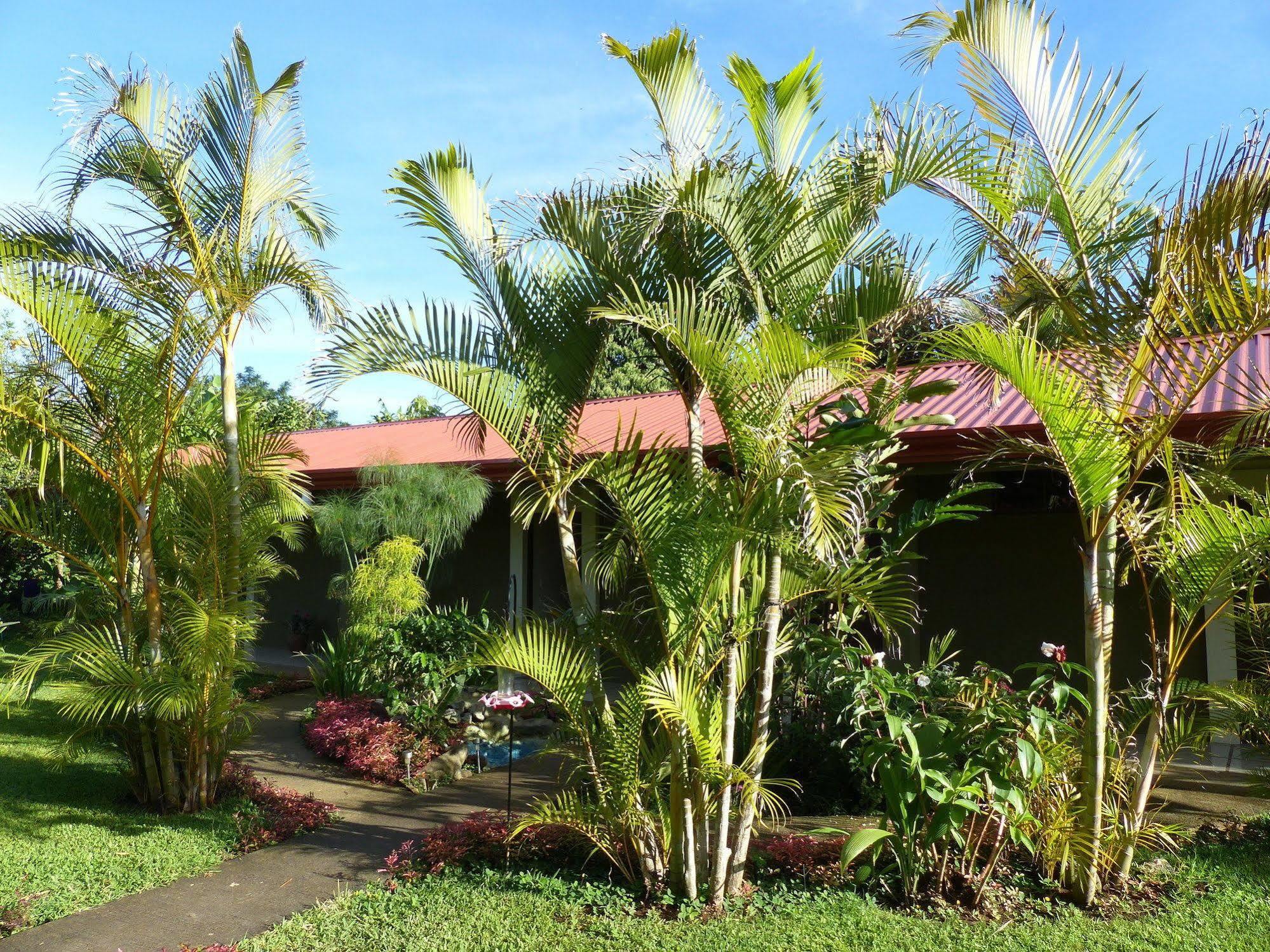 B&B Garden Grecia Exterior foto